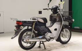 HONDA C110 SUPER CUB