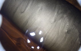 HONDA MONKEY 2002 Z50J