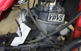 YAMAHA RZ250RR 2025 29L