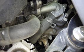 HONDA TACT-4ﾍﾞｰｼｯｸ 2026 AF79