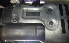 HARLEY ﾊﾟﾝ AMERICA1250S 2021