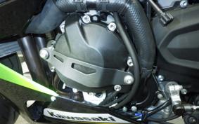 KAWASAKI NINJA ZX-6R A 2025 ZX636J