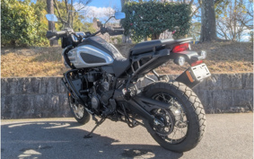 HARLEY PAN AMERICA 1250 SPECIAL 1994 ZES