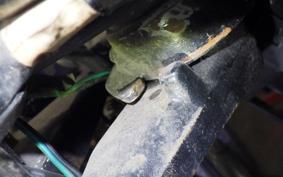 HONDA GB250 CLUBMAN GEN 3 1992 MC10