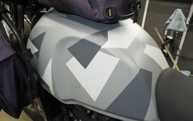 OTHER +ENFIELD ﾋﾏﾗﾔﾝ 2021