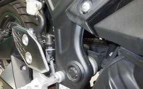 YAMAHA YZF-R25 2000 RG43J
