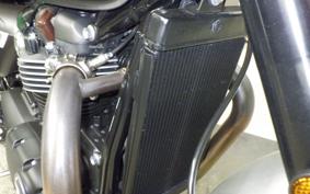TRIUMPH SPEED TWIN 2024