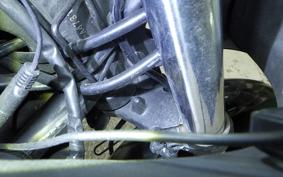 KAWASAKI NINJA 250R 2021 EX250K