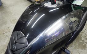 DUCATI DIAVEL Cromo 2013