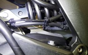 KAWASAKI NINJA 1000 SX 2023 ZXT02K