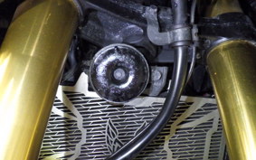 HONDA X-ADV 750 2018 RC95