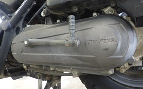 HONDA ZOOMER AF58