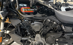 HARLEY  HARLEY RH975S NIGHT  STAR  2023 ZF1