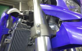 YAMAHA WR250R 2025 DG15J