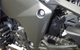 KAWASAKI NINJA 1000 SX 2024 ZXT02K