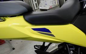 SUZUKI Vｽﾄﾛｰﾑ250SX 2025 EL11L