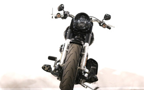 HARLEY FLSTFB 2009 JN5