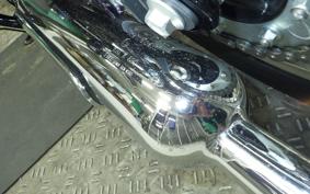 KAWASAKI W800 2020 EJ800B