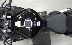 KAWASAKI NINJA1100SX 2025