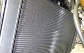 KAWASAKI Z900RS SE 2024 ZR900K