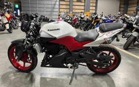 KAWASAKI NINJA 250R EX250K