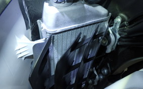 YAMAHA WR250X 1982 DG15J