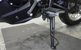 KAWASAKI VERSYS X250Aﾂｱﾗｰ