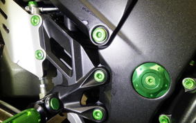 KAWASAKI ZX 1400 NINJA R A 2016