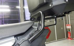 HONDA ZOOMER-X 2024 JF52