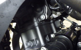 HONDA CBR250R A 2015 MC41