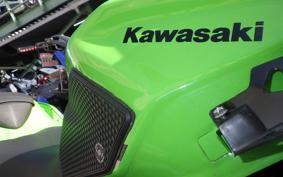 KAWASAKI NINJA 400 2019 EX400G