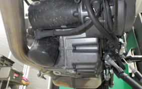 DUCATI MONSTER 937 2021