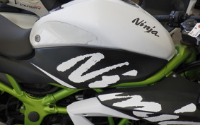 KAWASAKI NINJA 250 SL