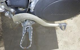 YAMAHA WR250X 2024 DG15J