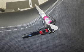 TRIUMPH STREET TRIPLE RS 2021