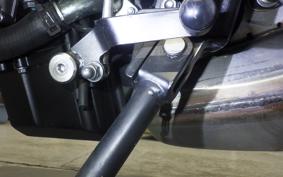 TRIUMPH TRIDENT 660 2024