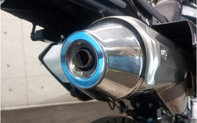 KAWASAKI KLX125D TRACKER X LX250V