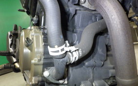 HUSQVARNA SVARTPILEN 401 2024