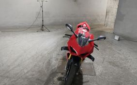 DUCATI PANIGA-REV4S 2024 3D00AA