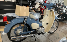 HONDA SUPER CUB50 AA09