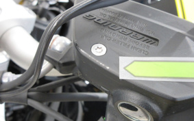 BMW R NINE T URBAN GS 2021 0L91