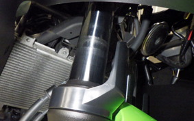 KAWASAKI NINJA 250 2 2021 EX250P
