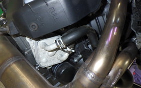 YAMAHA MT-09 2021 RN69J