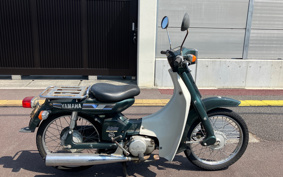 YAMAHA MATE50DX V50