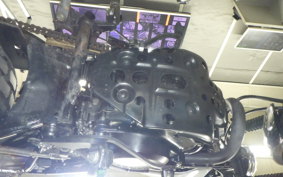 YAMAHA TW225 DG09J