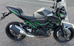 KAWASAKI Z250 EX250Y
