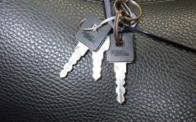 OTHER +HD. XL1200X 2019