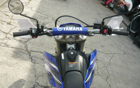YAMAHA WR250R DG15J