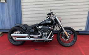 HARLEY FLFBS 2022 YGK
