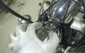 YAMAHA VIRAGO 250 2021 3DM